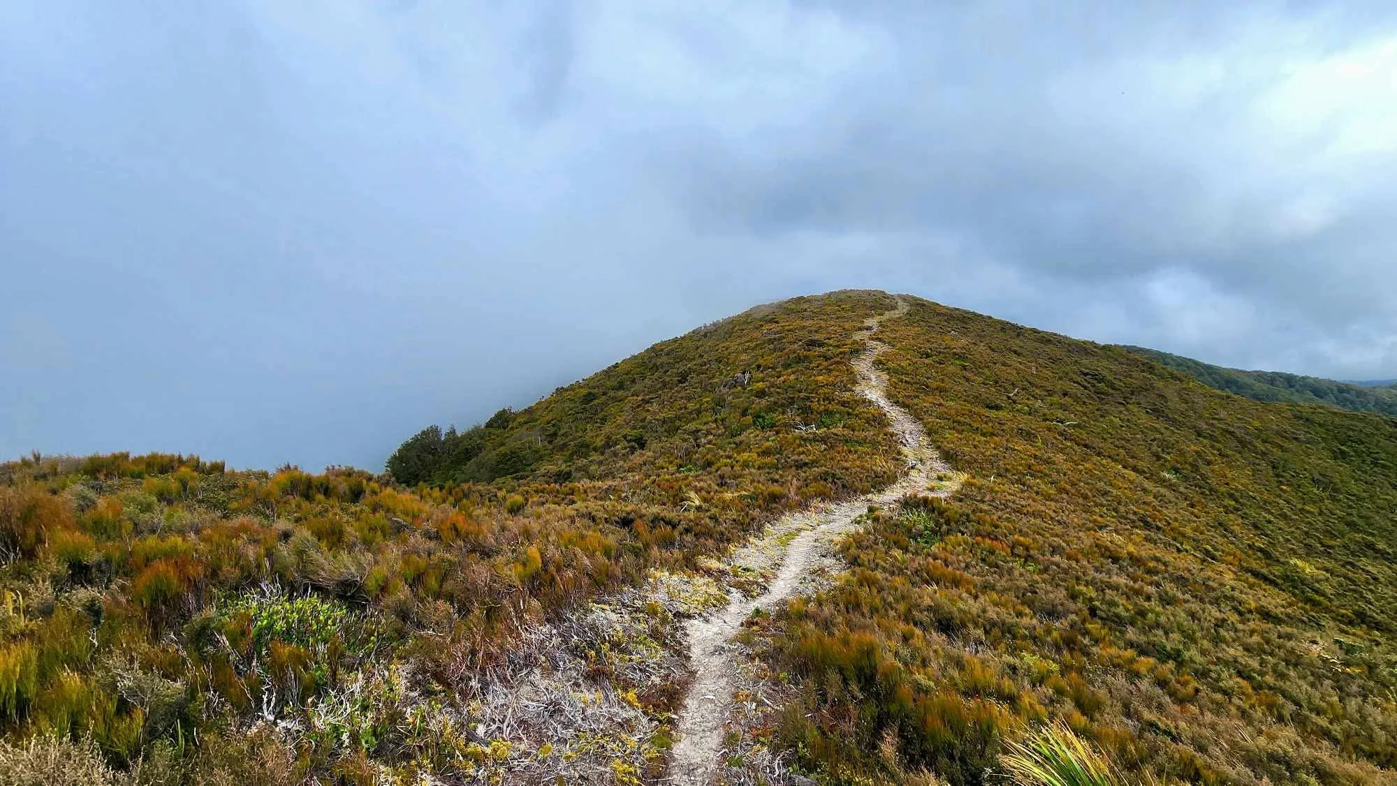  Ultra Trail Kosciuszko with Lucy Bartholomew| Dirt Church Radio 352