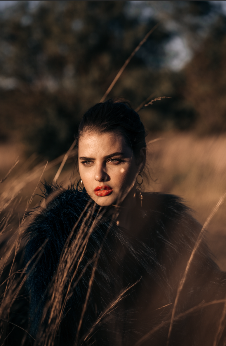 Screen Shot 2019-04-20 at 12.58.15 PM.png