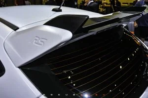JRS9536-300x200.jpg