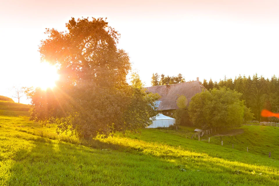 Yoga und Meditations-Retreat in der Jurte vom 31. Juli - 4 August 2019