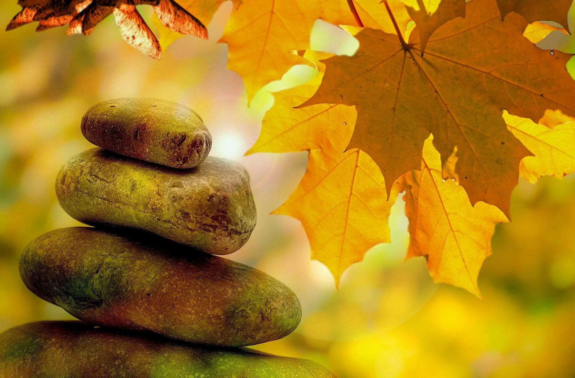 Sensitiv Yoga in Zürich-Albisrieden ab 3. November 2020