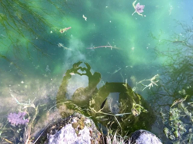 Selbstmitgefühl - Frühlingskurs 2024 