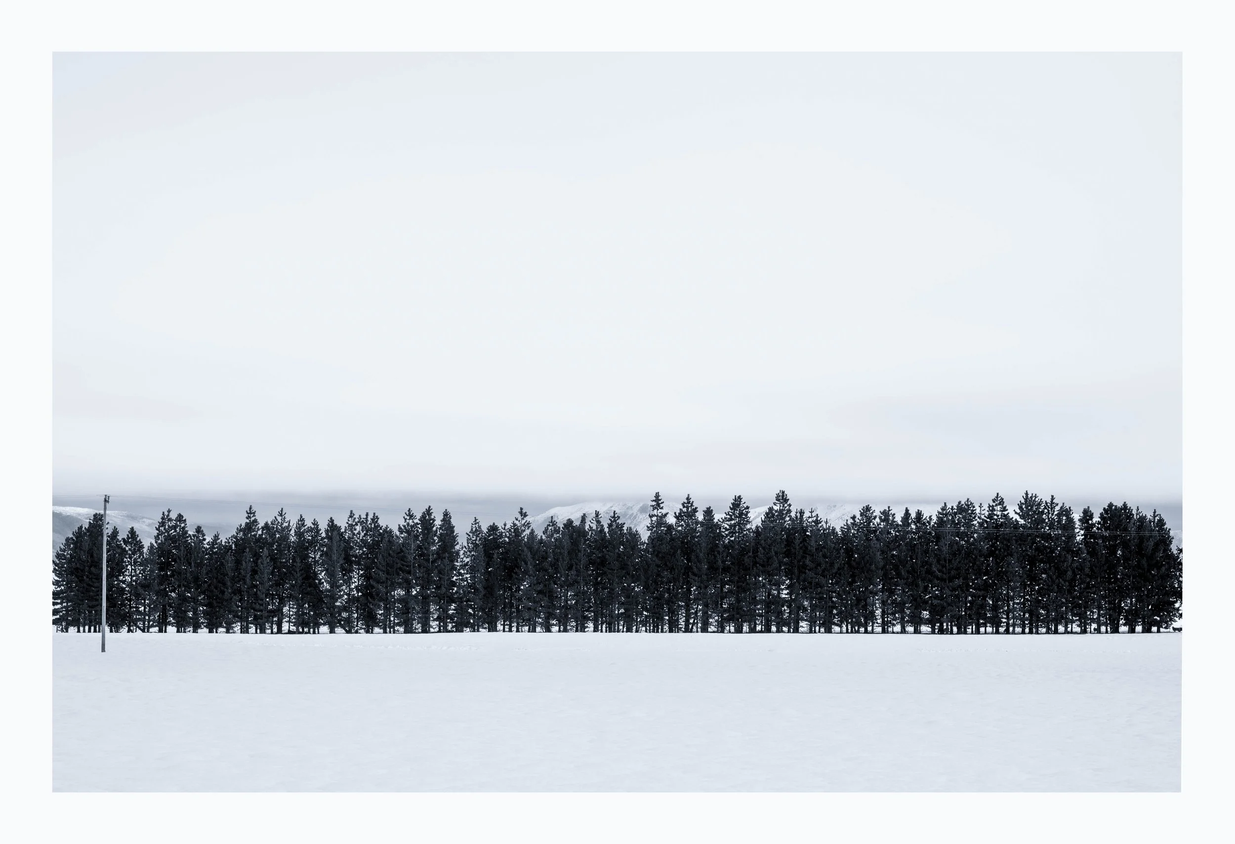 97.jpg