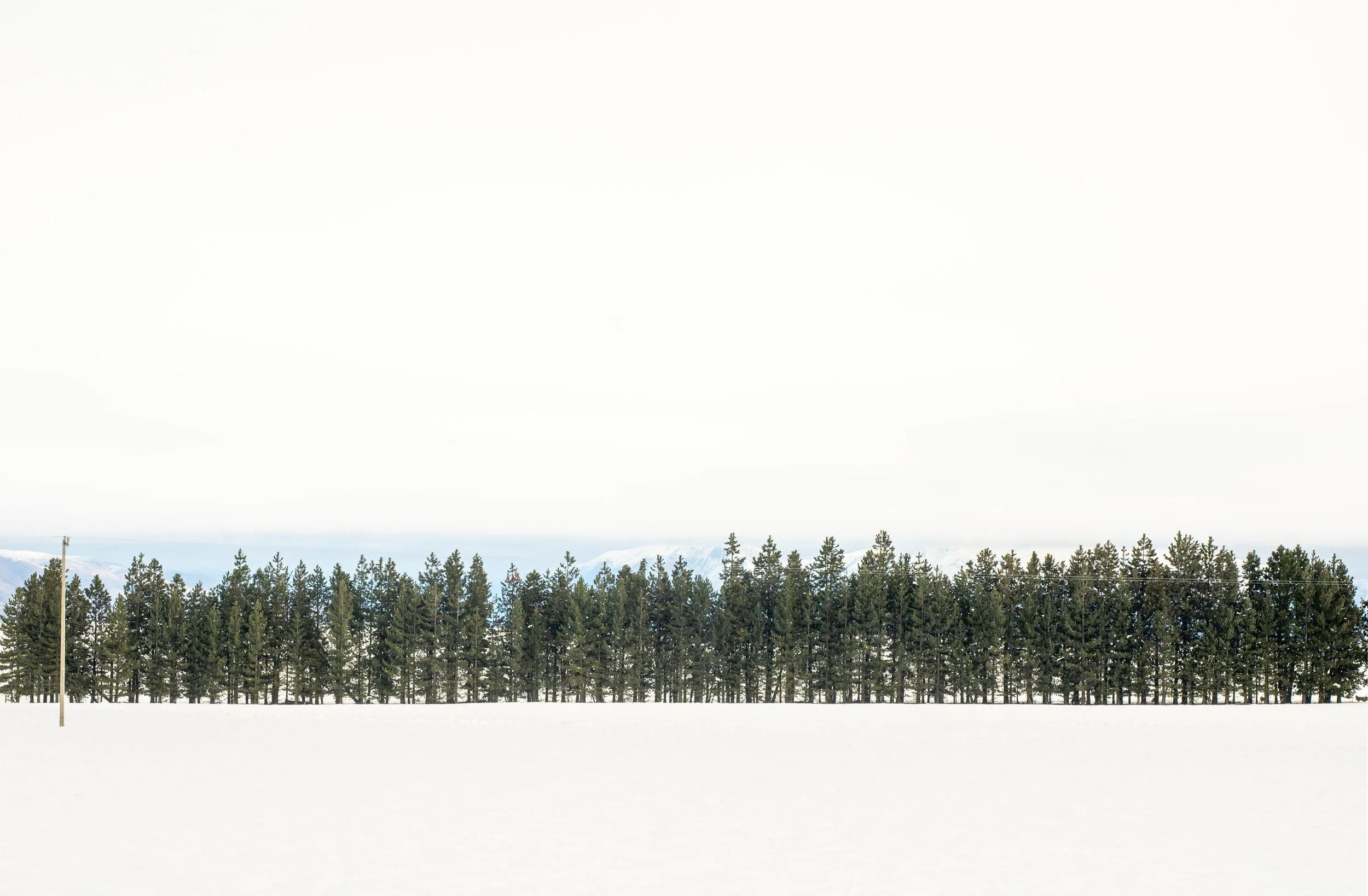 DSC_7259.jpg