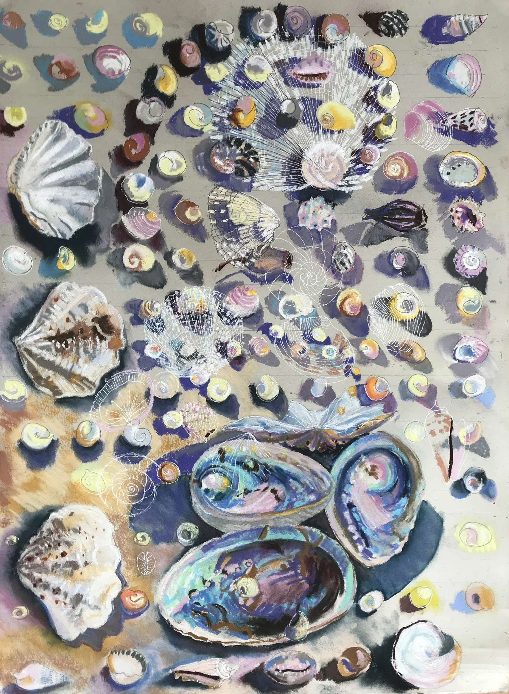 David Emond: A Pattern of Shells