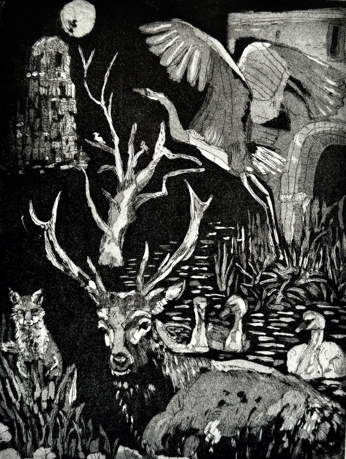 Loraine Monk: After the Flood