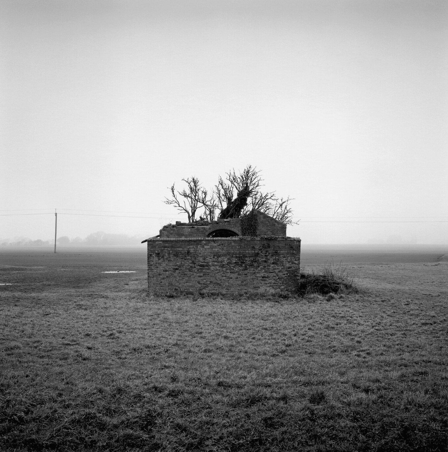 Garwick, 2018