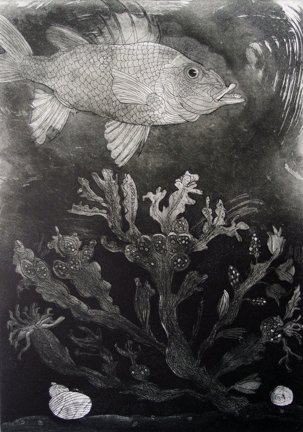 Deep Water © Roger Law, Etching, Edition 25, 61cm x 45cm £560 unframed