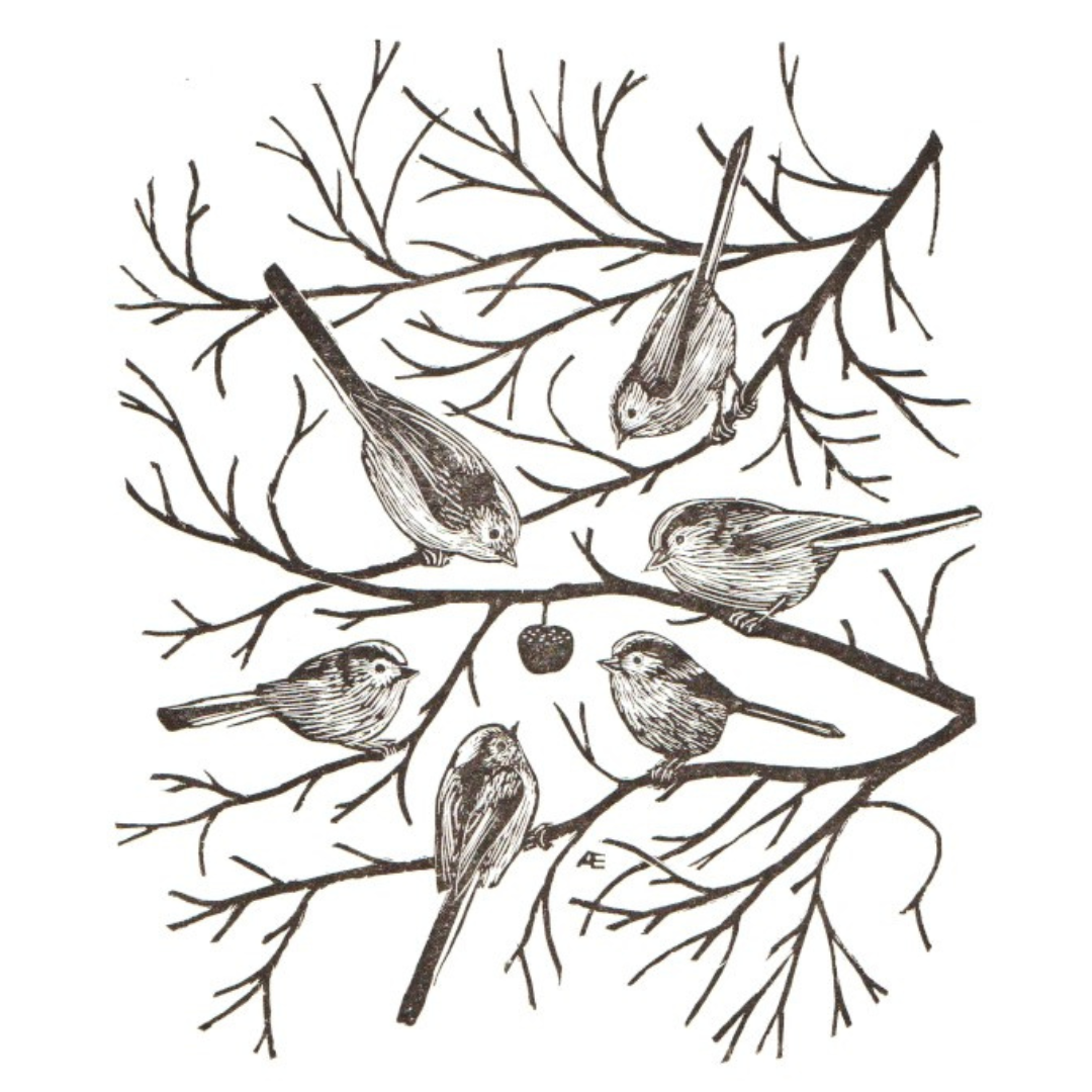 Andy English: Star Cluster (Long Tailed Tits) — Fen Ditton Gallery