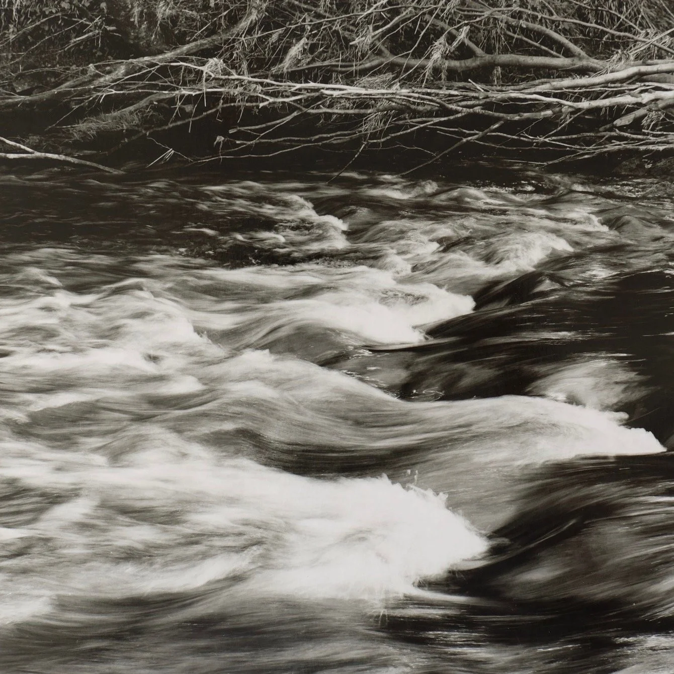 Graham Murrell