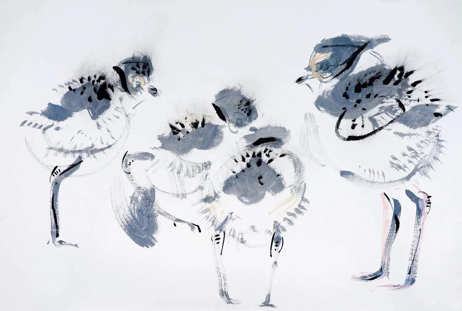 Wynona Legg - Ringed Plover Brood £550.jpg