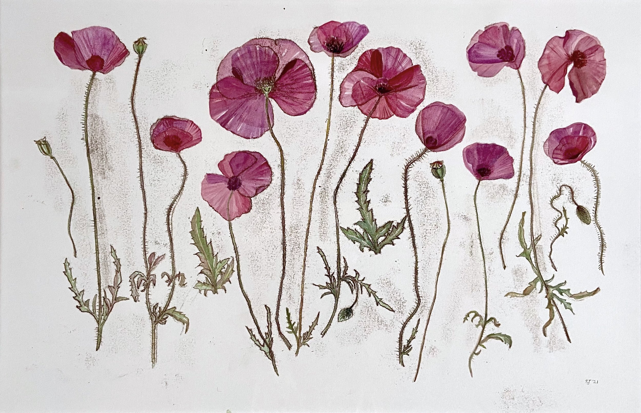 Rebecca Jewell - The Herbarium.jpg