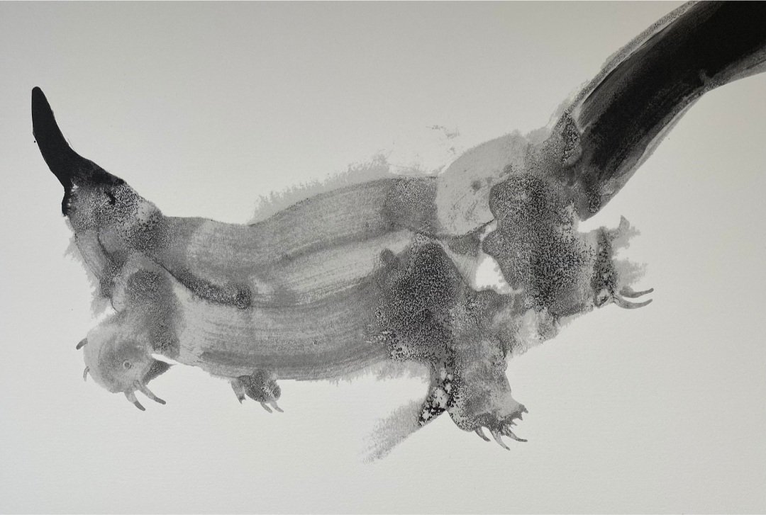Roger Law: Swimming Platypus
