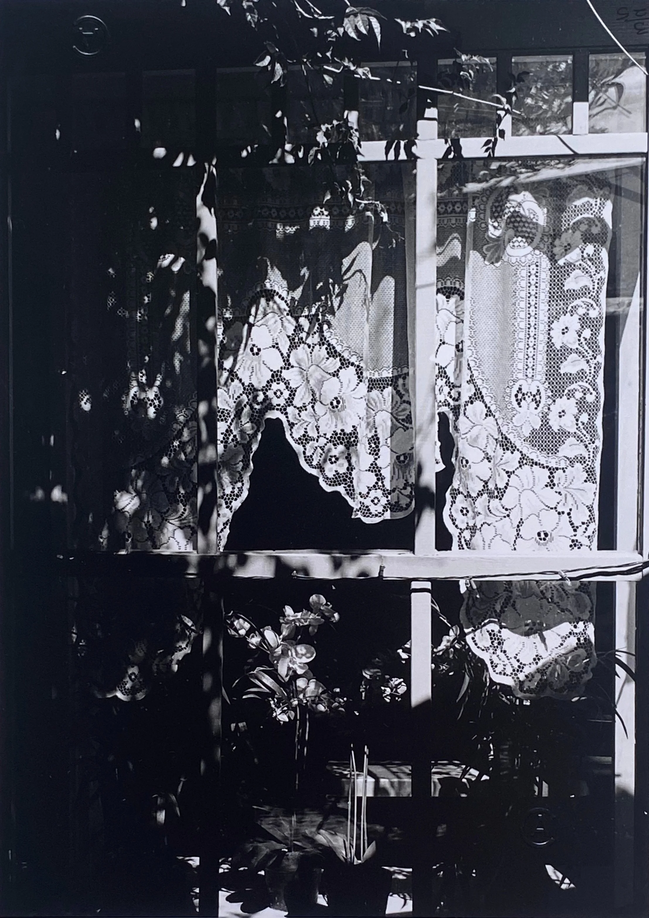 Lotte Attwood - Lace Curtain.jpg