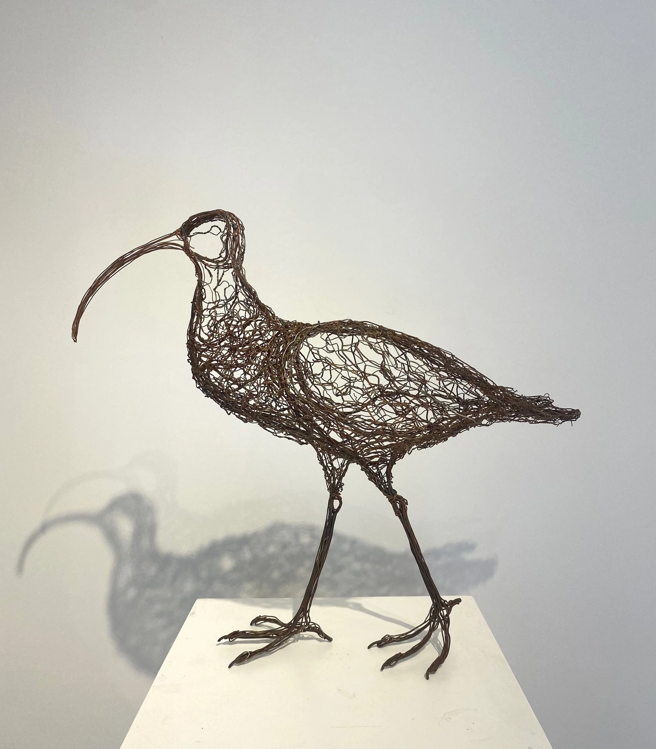 FullSizeRender (1).jpeg