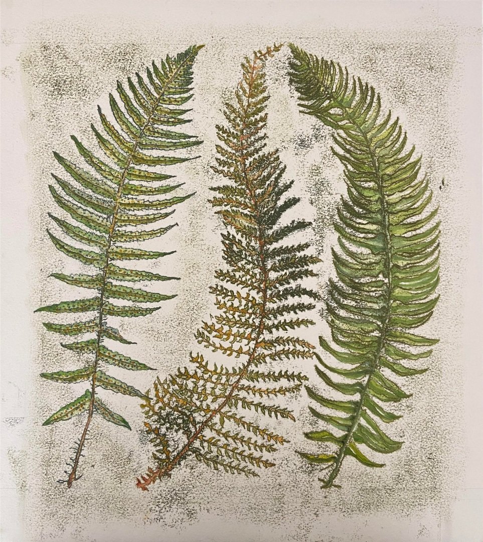 Rebecca+Jewell+-+Ferns.jpg