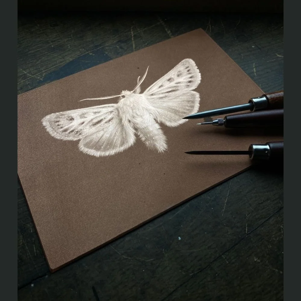 square-template-23.jpg