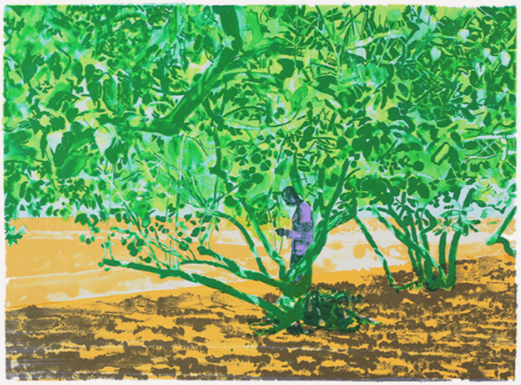 Hurvin Anderson: Sea Grape, 2024