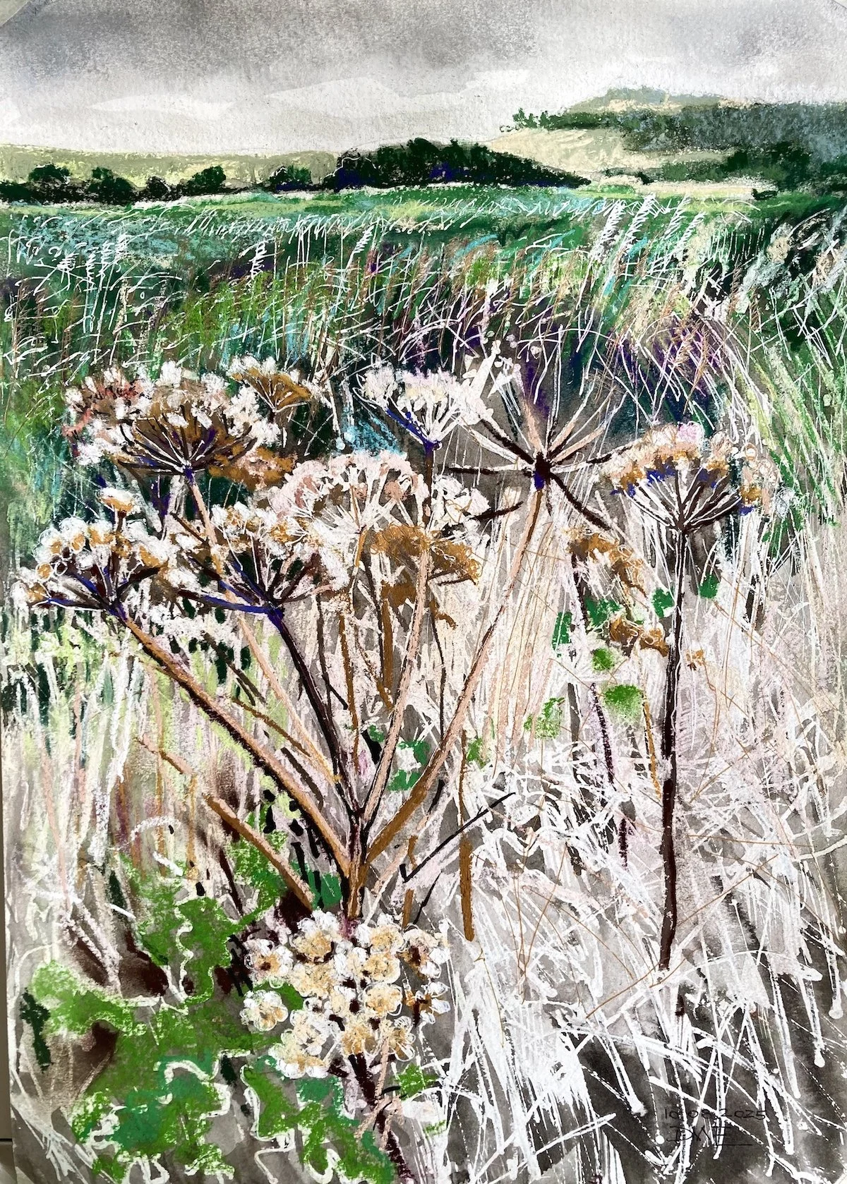 David Emond - Rackham Hill across the marshes. Aug 2025 (420x295) £375.jpg