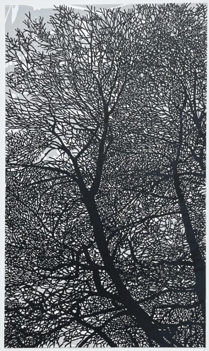 Andrew Carter: Winter Filigree II
