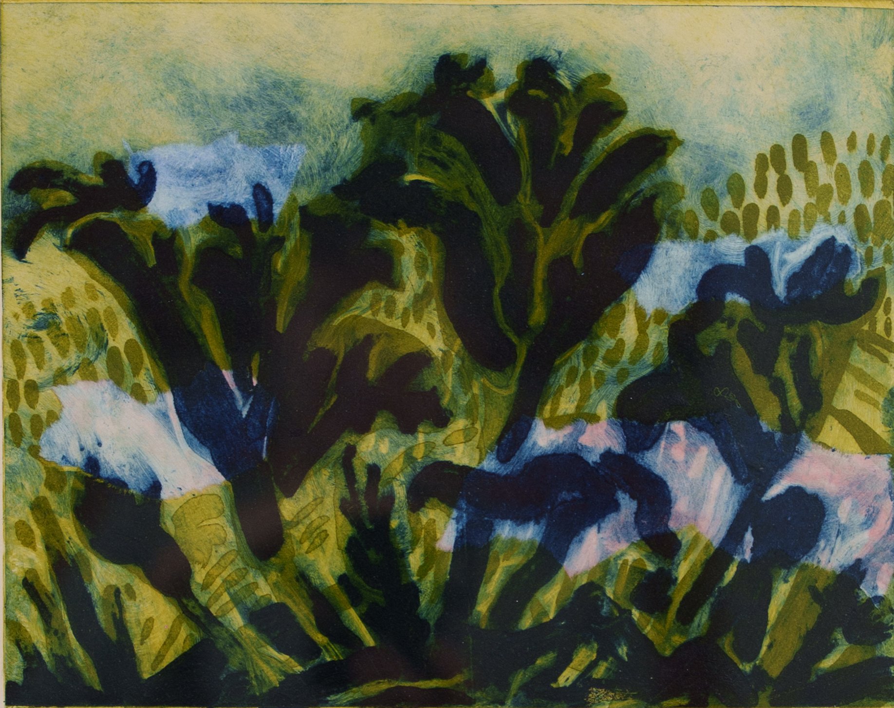 Dougal Kirkland: Gunnera