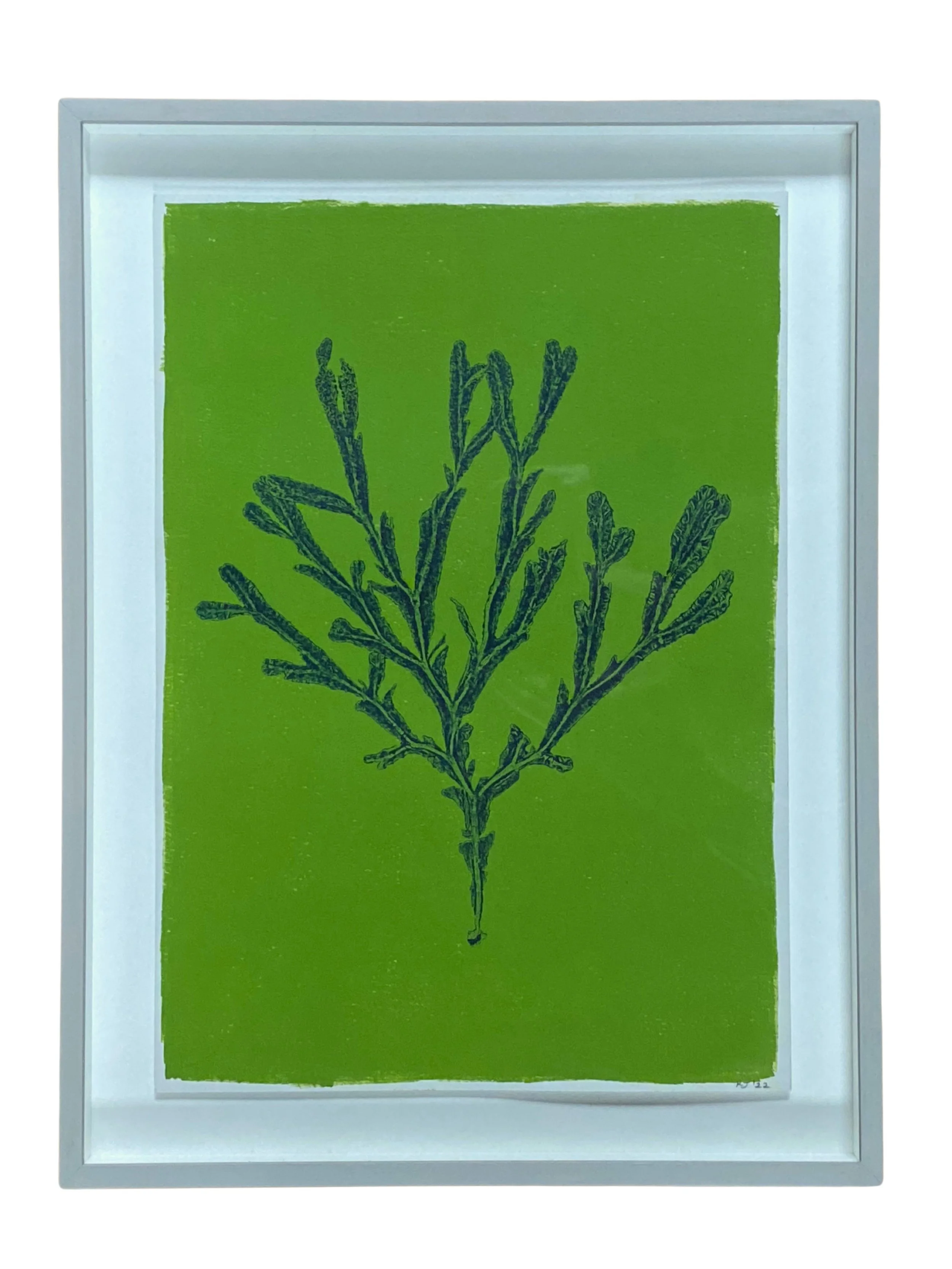 Rebecca Jewell - Fucus Serratus Green (framed).jpg