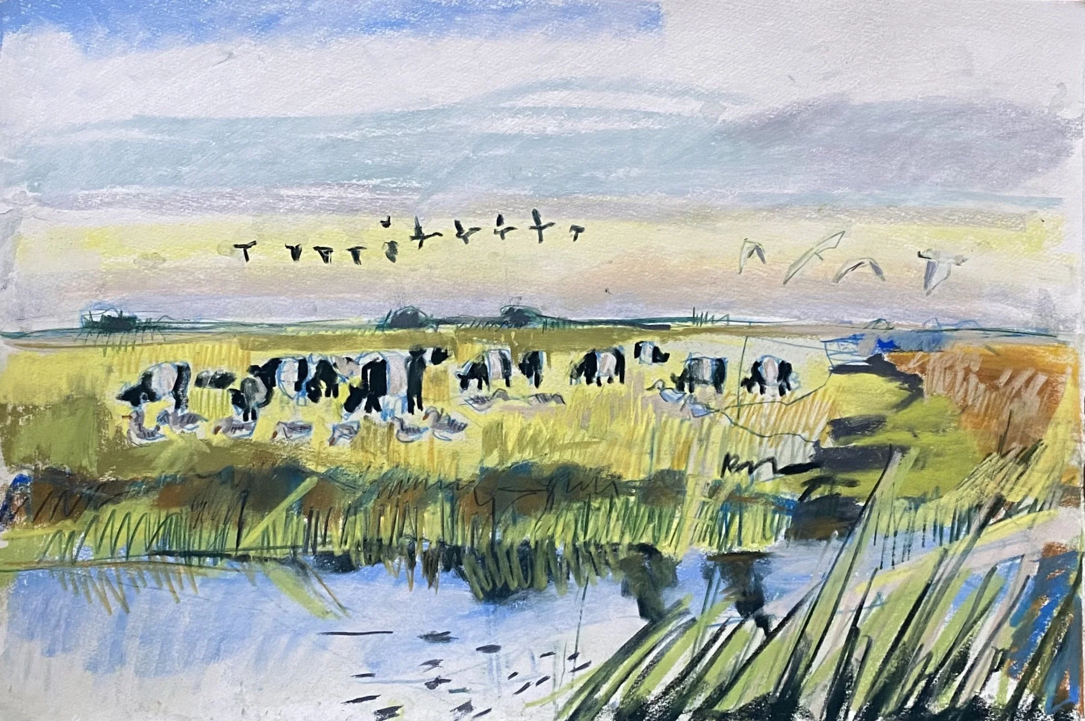 Kittie Jones | Scottish Artist Capturing Wildlife and Coastal ...
