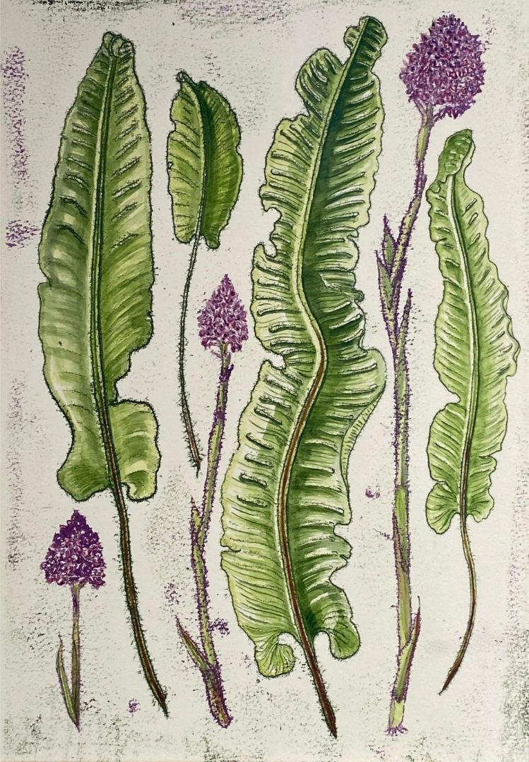Rebecca+Jewell+-+Heart+Tongue+and+Wild+Orchid.jpg