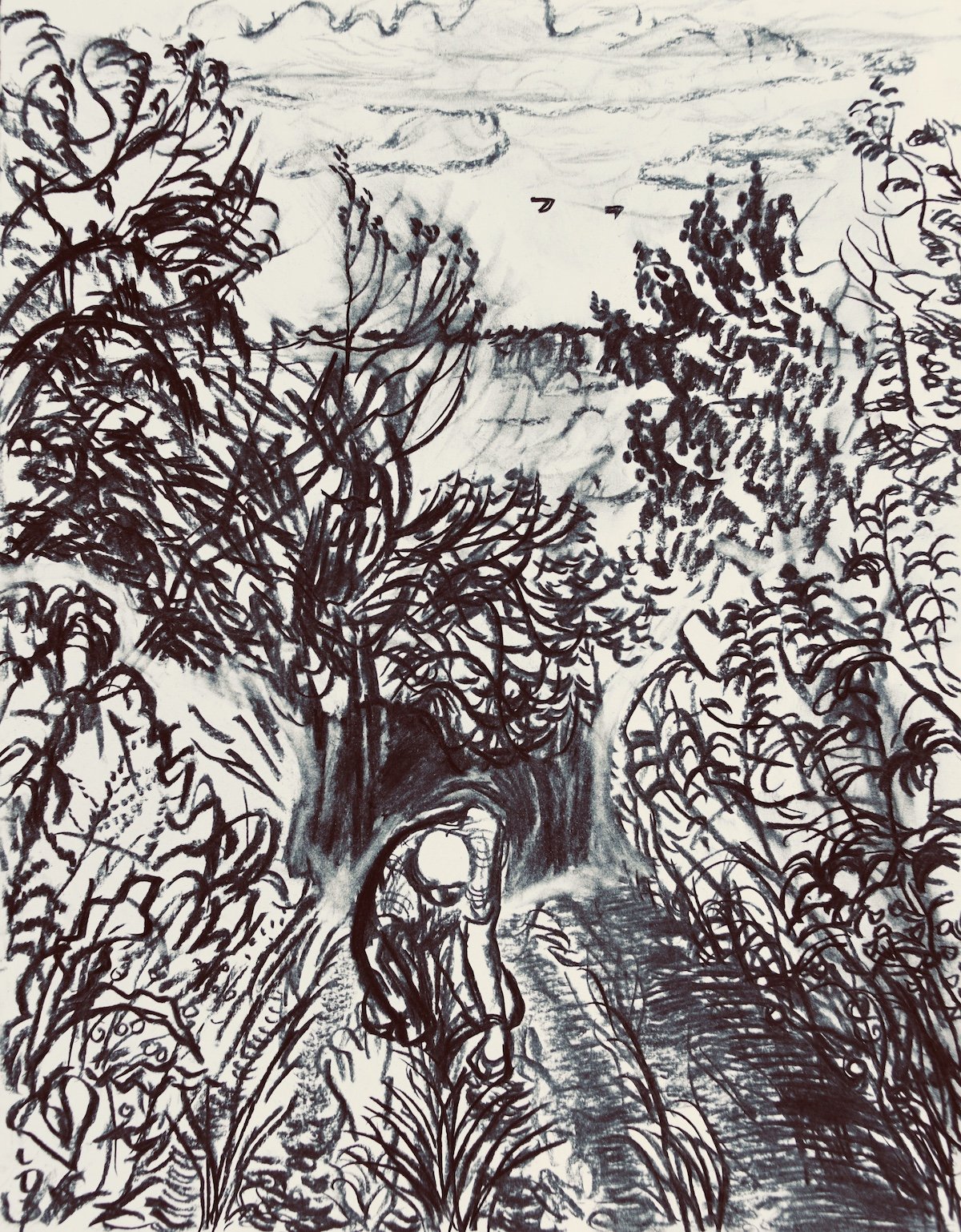 Agnes Treherne: Veg Patch