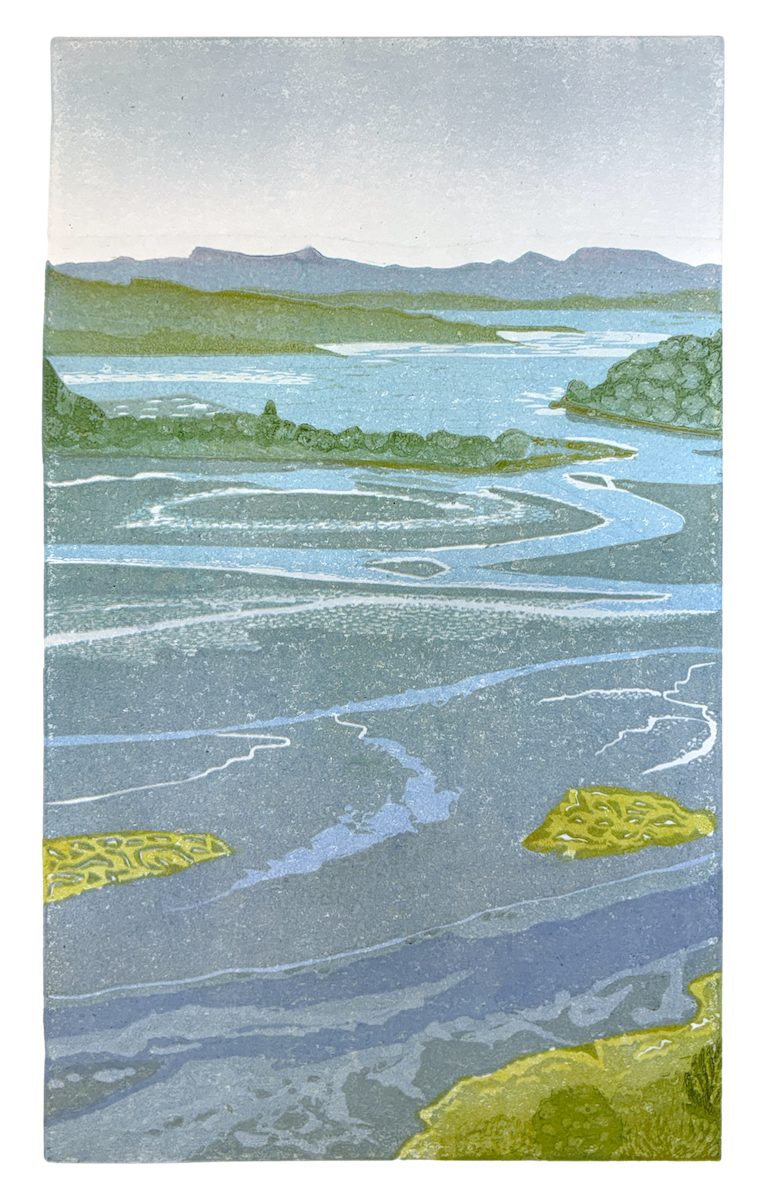Liz Hartley: Tidal Flow