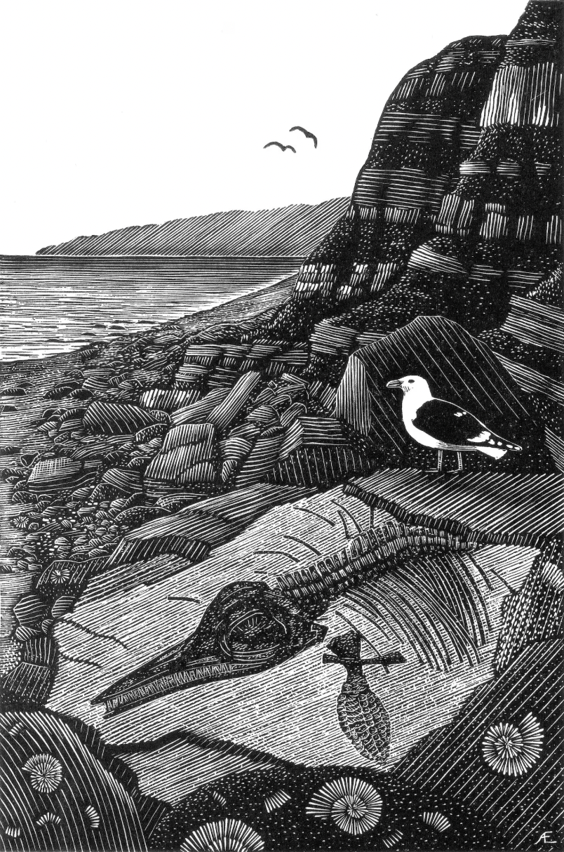Andy English: On Charmouth Beach