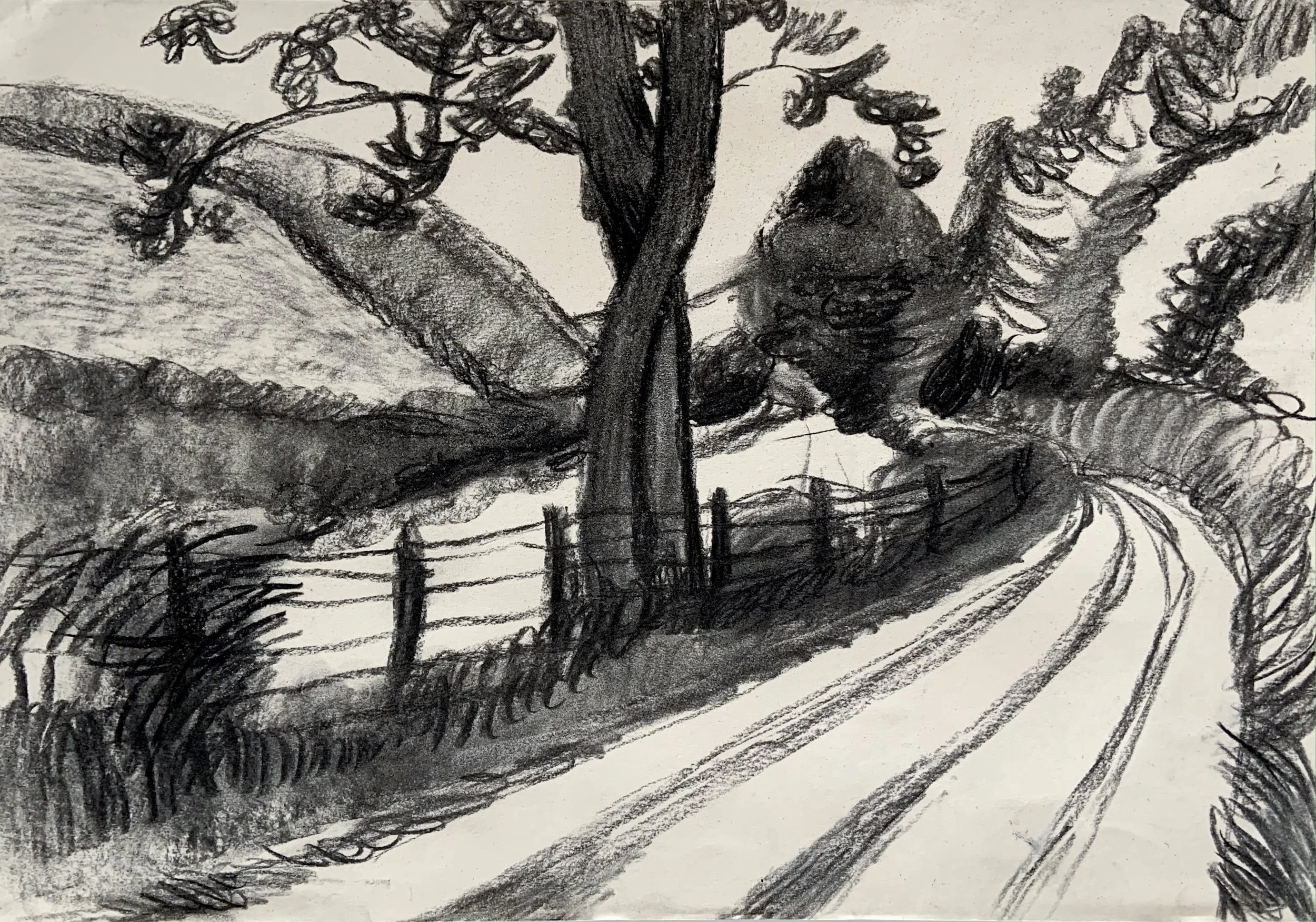 Daisy Nutting - Road to Corris (1).jpg