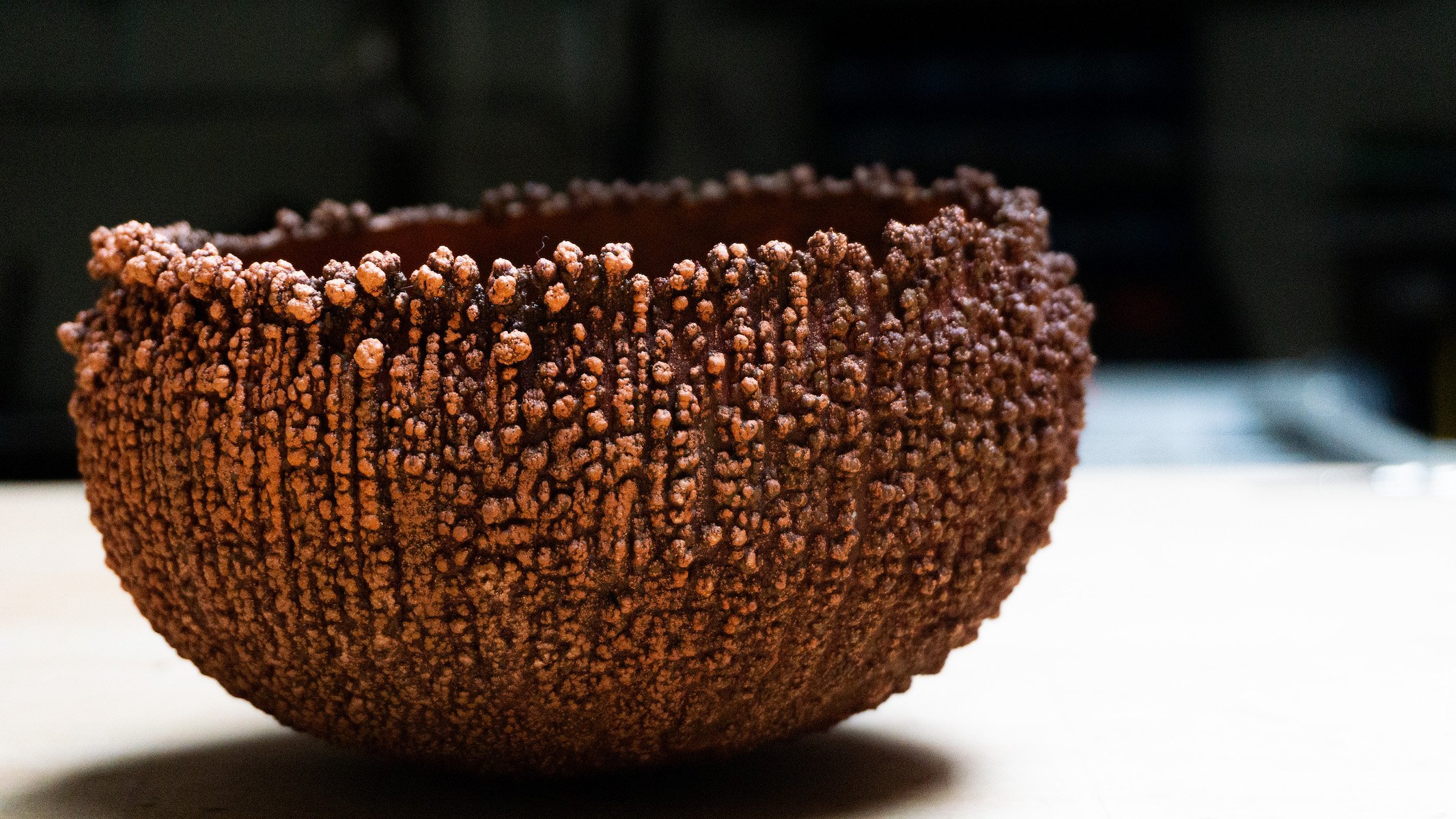 Willow Bloomfield: Morphogenesis Large