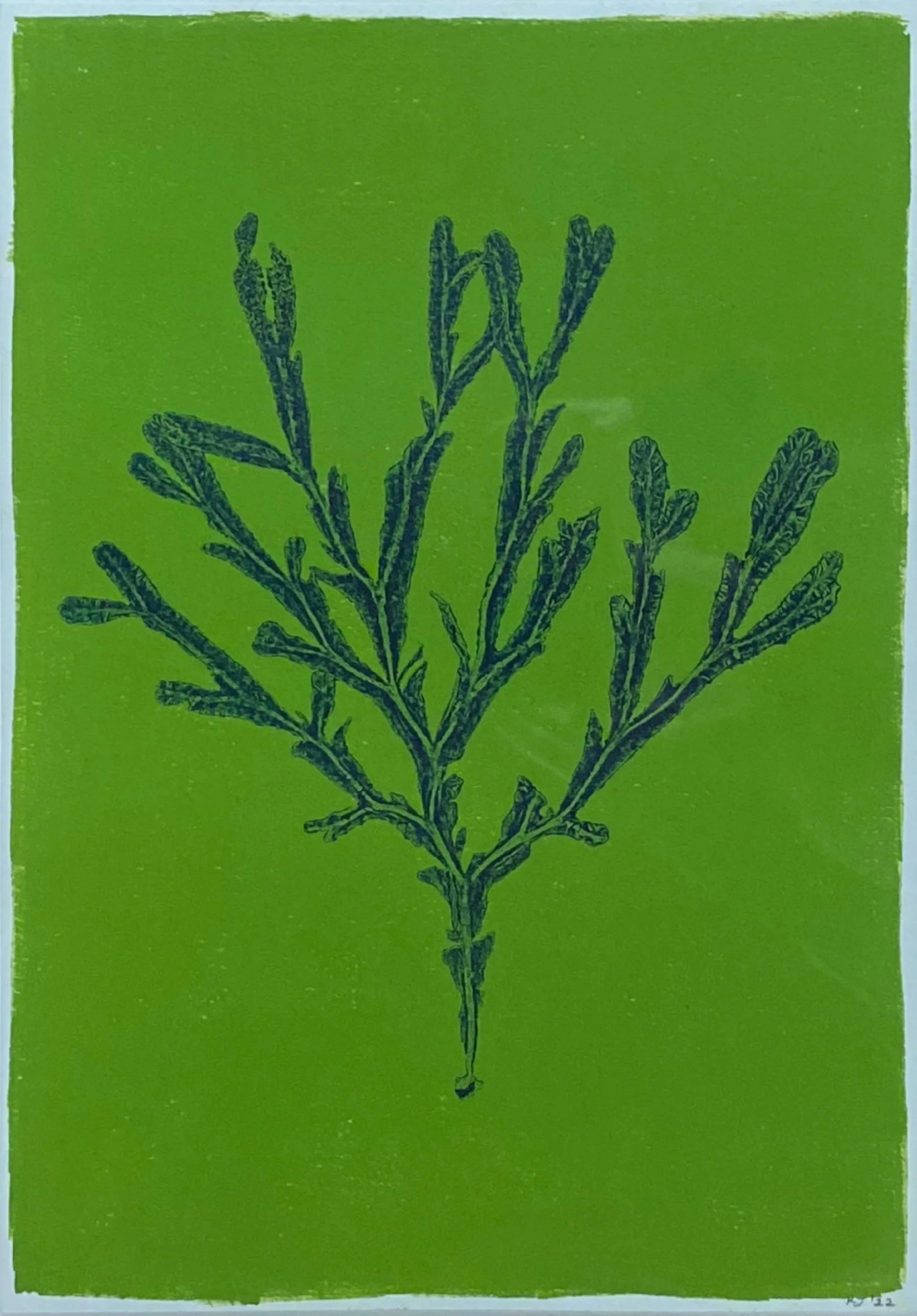 Rebecca Jewell - Fucus Serratus Green.jpg