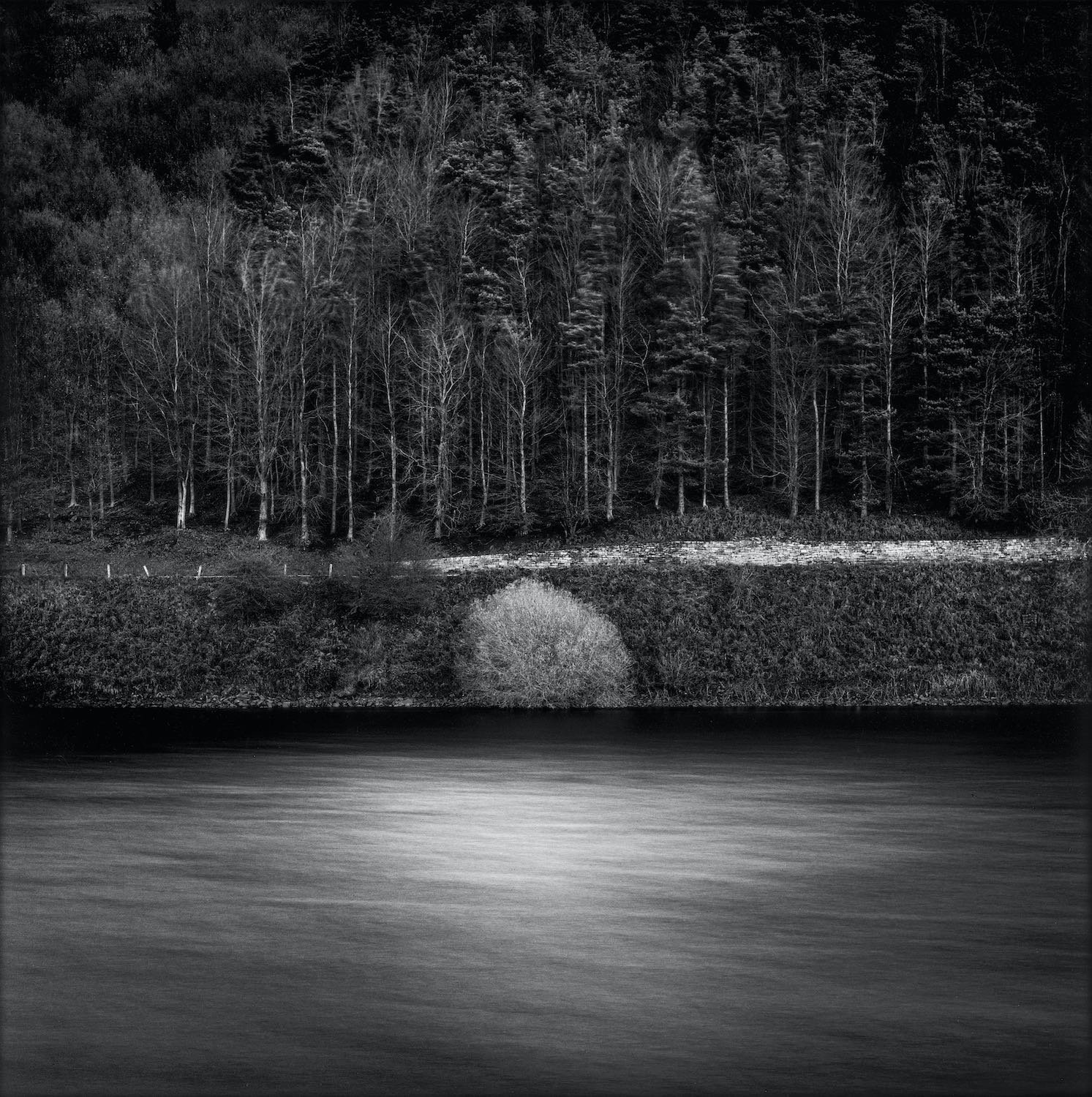 Paul Hart: Sentinel