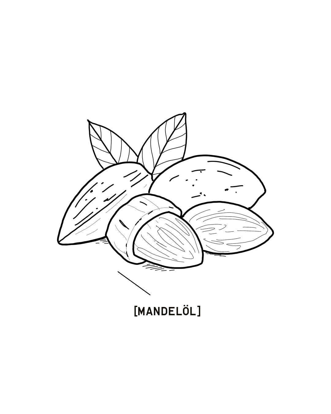 MANDELOEL-1350X1080.png