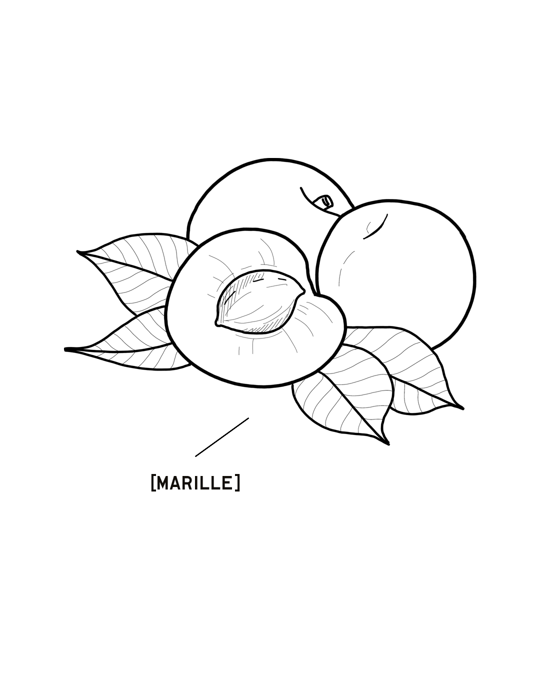 MARILLE-1350X1080.png