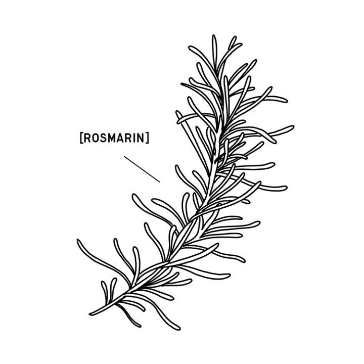 Rosemary stimulates the circulation and is slightly antibacterial, it stimulates the skin metabolism and is strong antioxidant. Thus it offers effective care for mature skin and cellulite. Blemished skin can be rebalanced with rosemary.⠀⠀⠀⠀⠀⠀⠀⠀⠀⠀⠀⠀⠀⠀