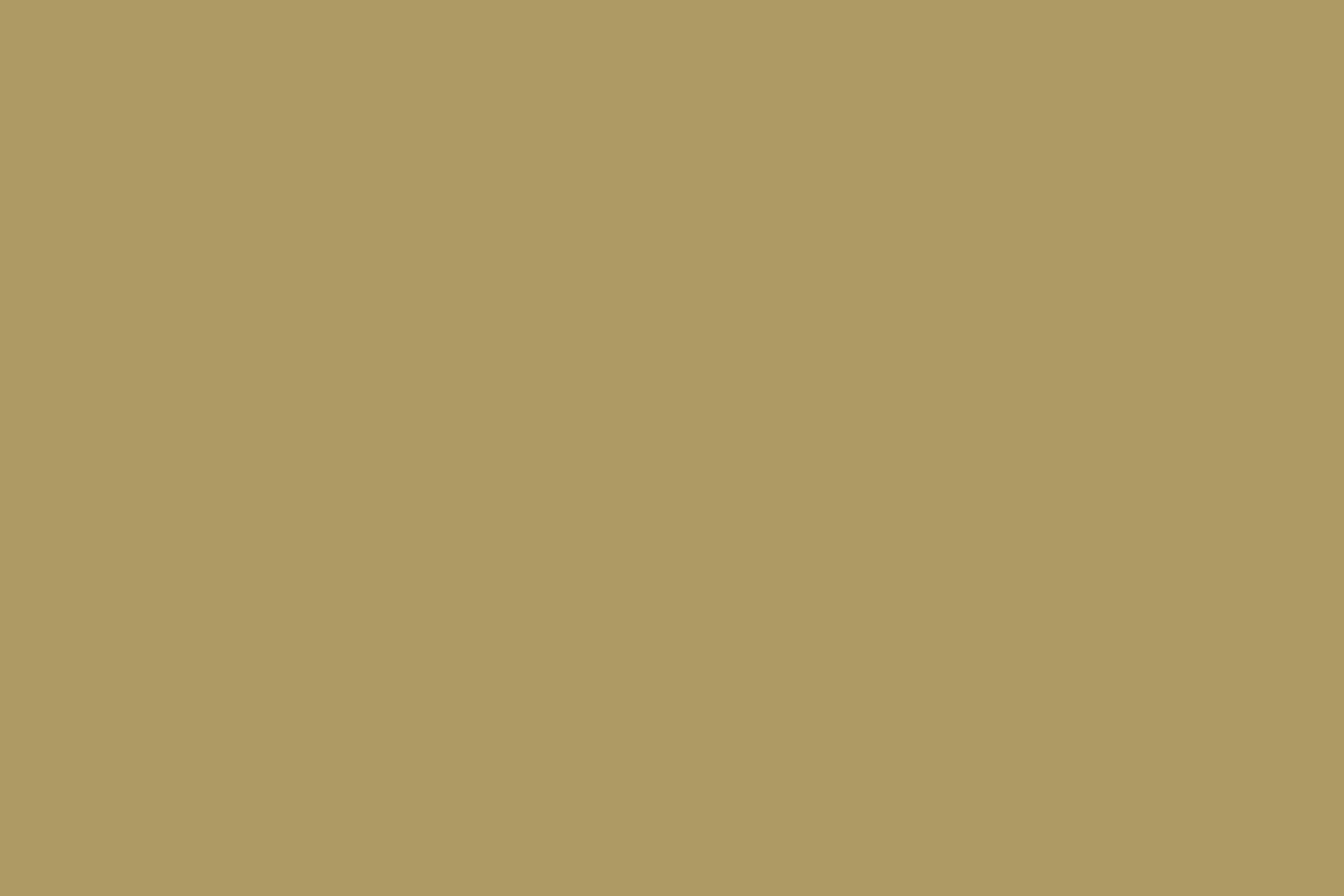 MARRON.png