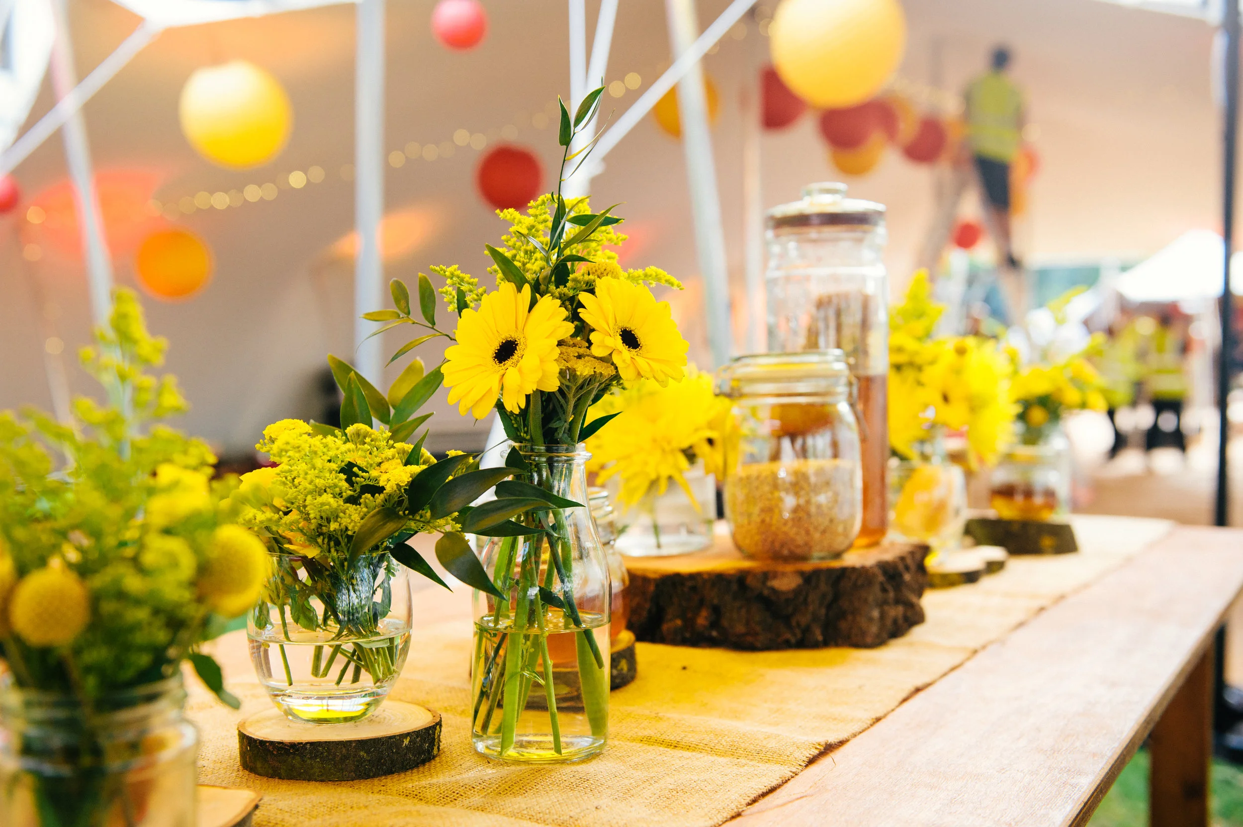 Stretch Tent from Freestretch