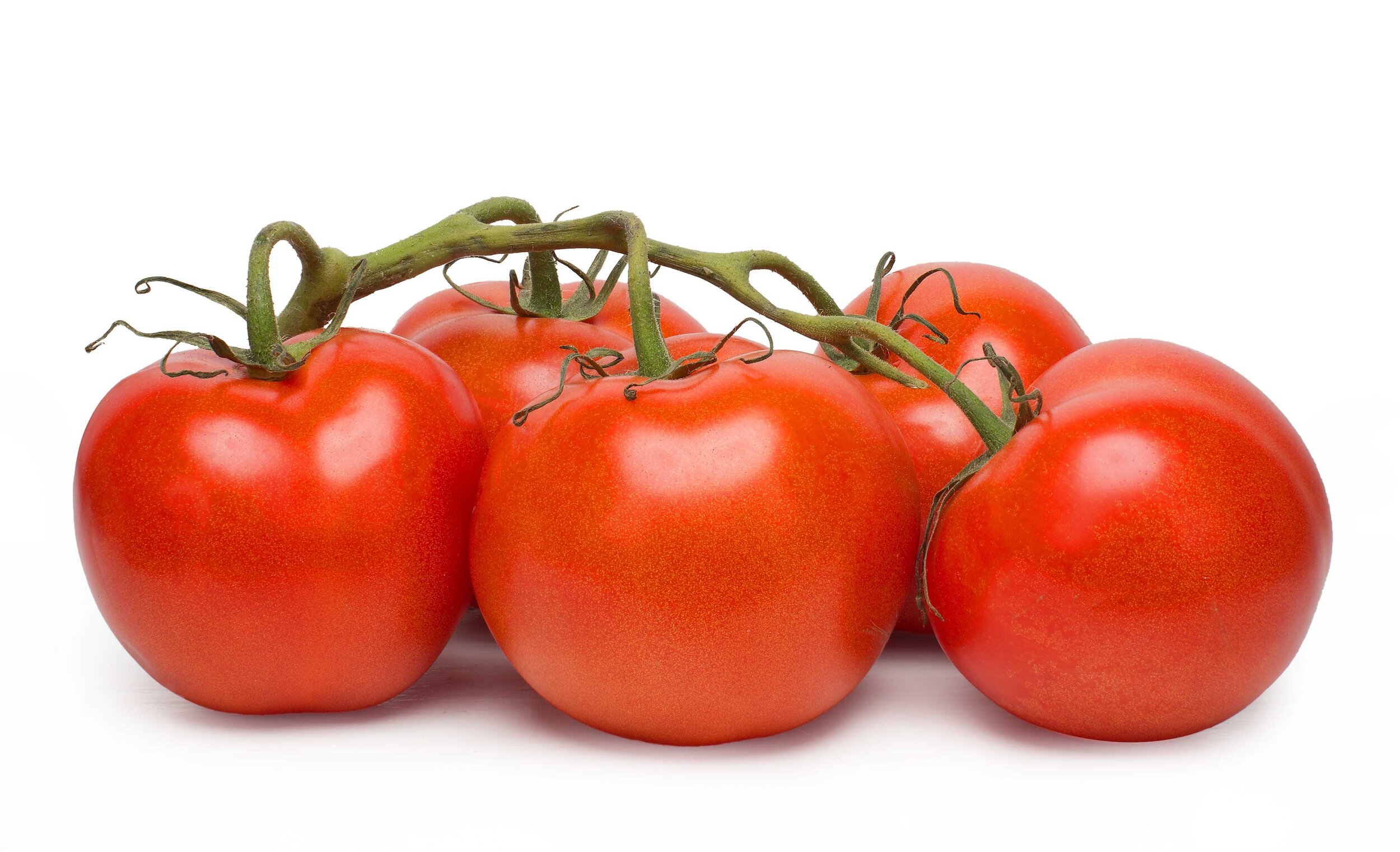 Tomatoes_SQSP.jpg