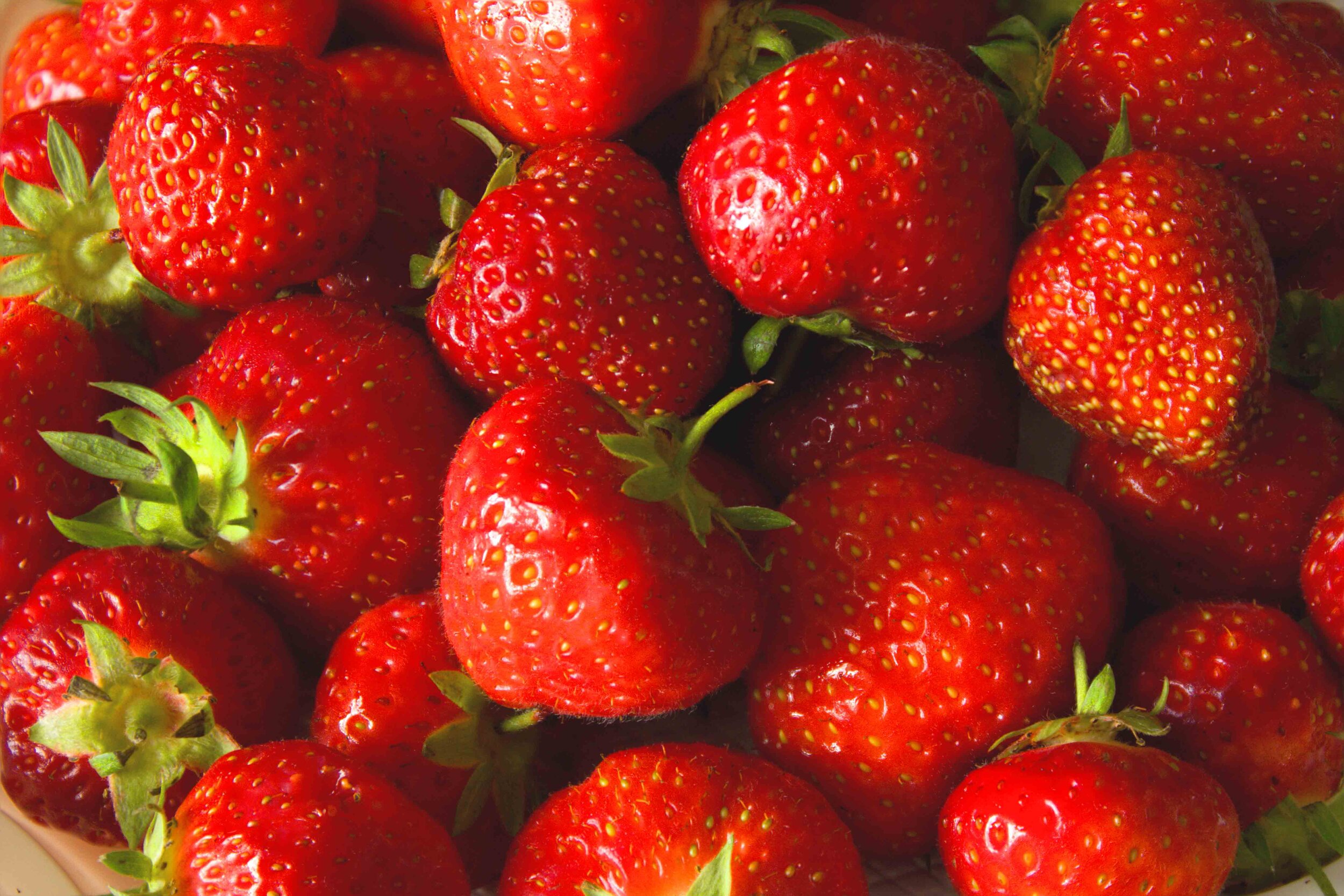 strawberries_SQSP.jpg
