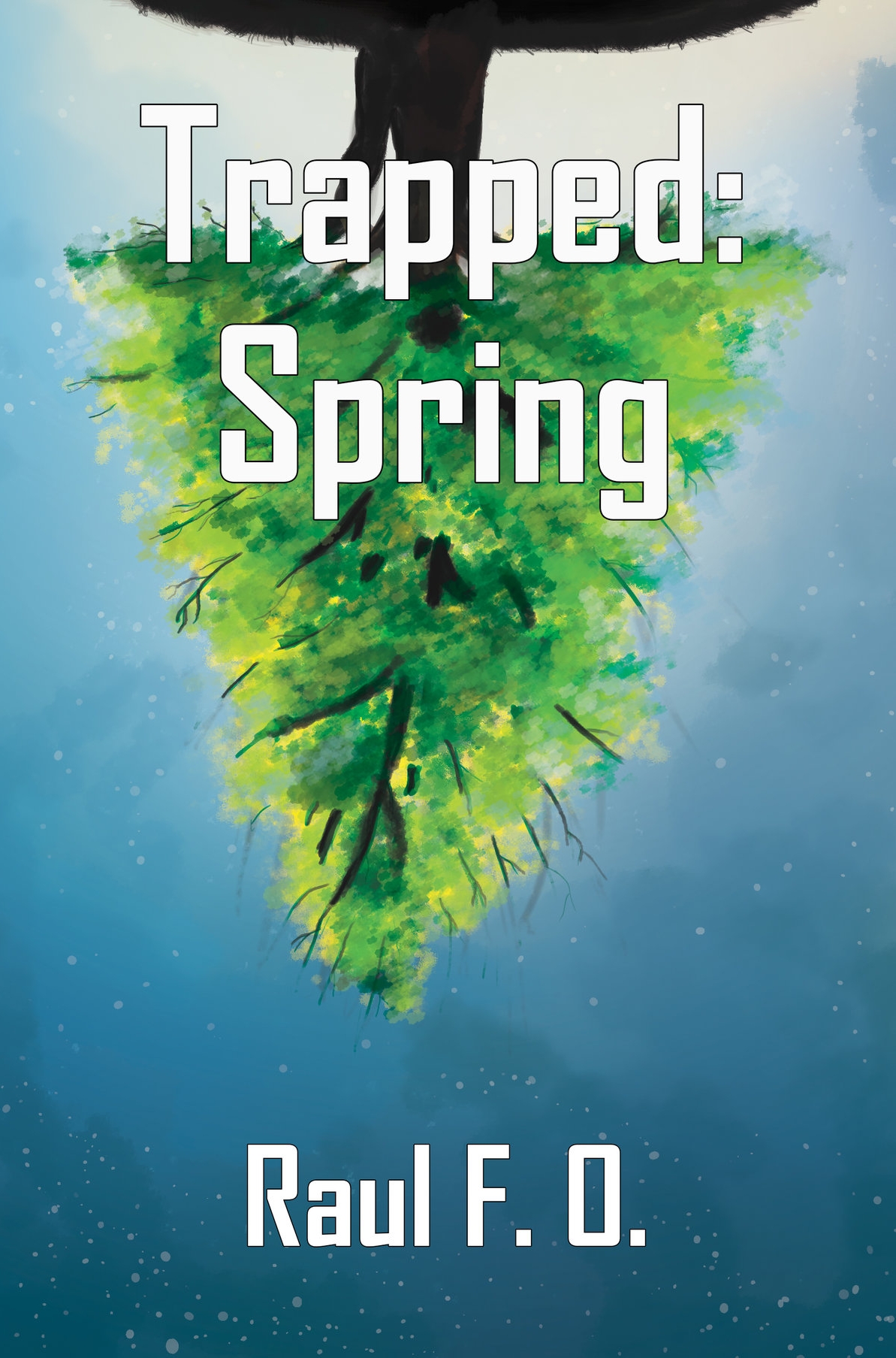 springver2KDP.jpg