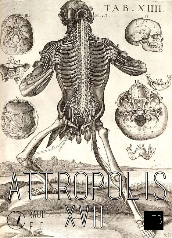 attropolis17.jpg