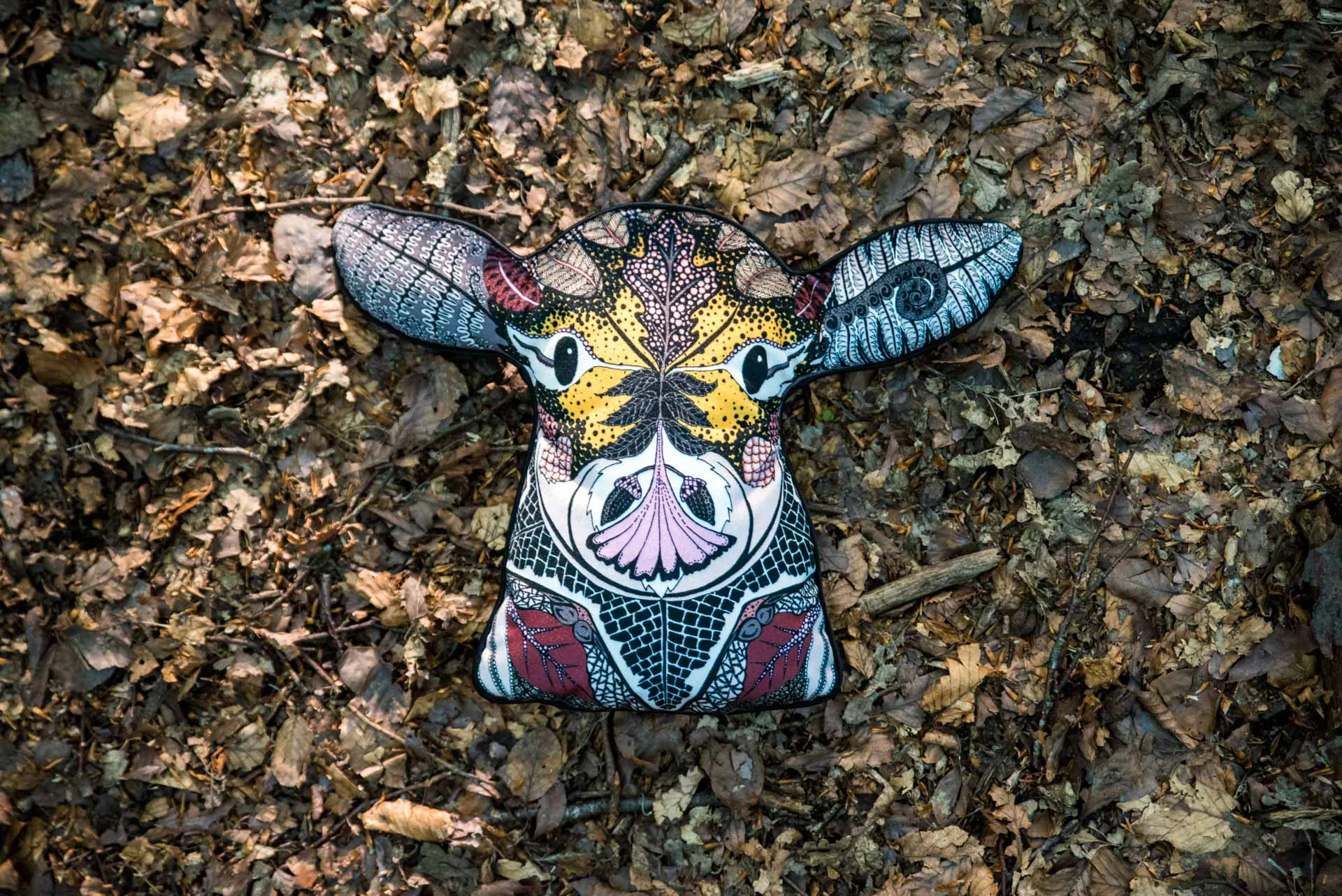 DSC_9801.jpg