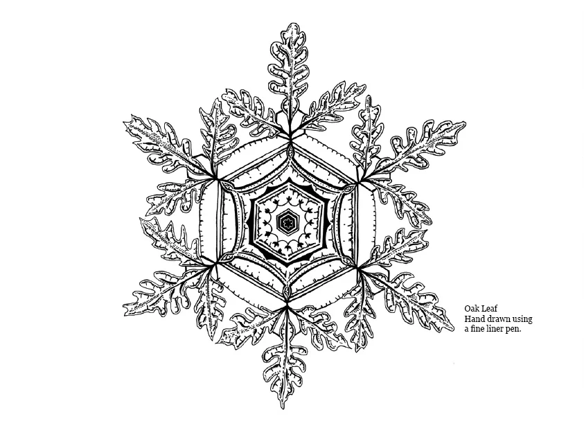 Hainsworth book10.jpg