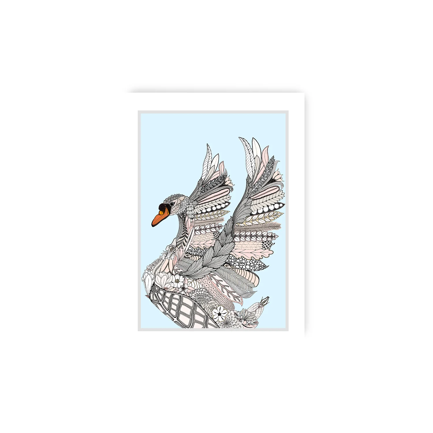 plain swan.jpg