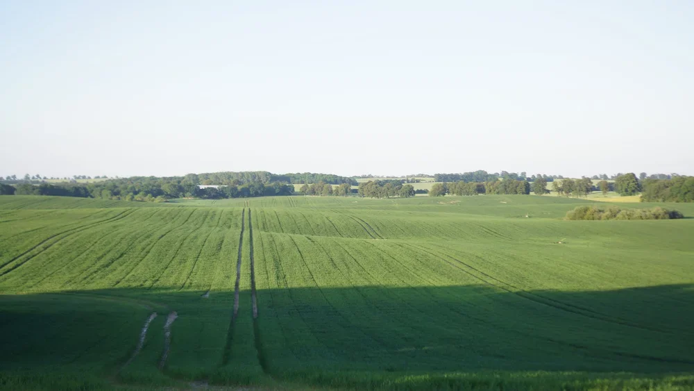 Hügellandschaft-Stellshagen.webp