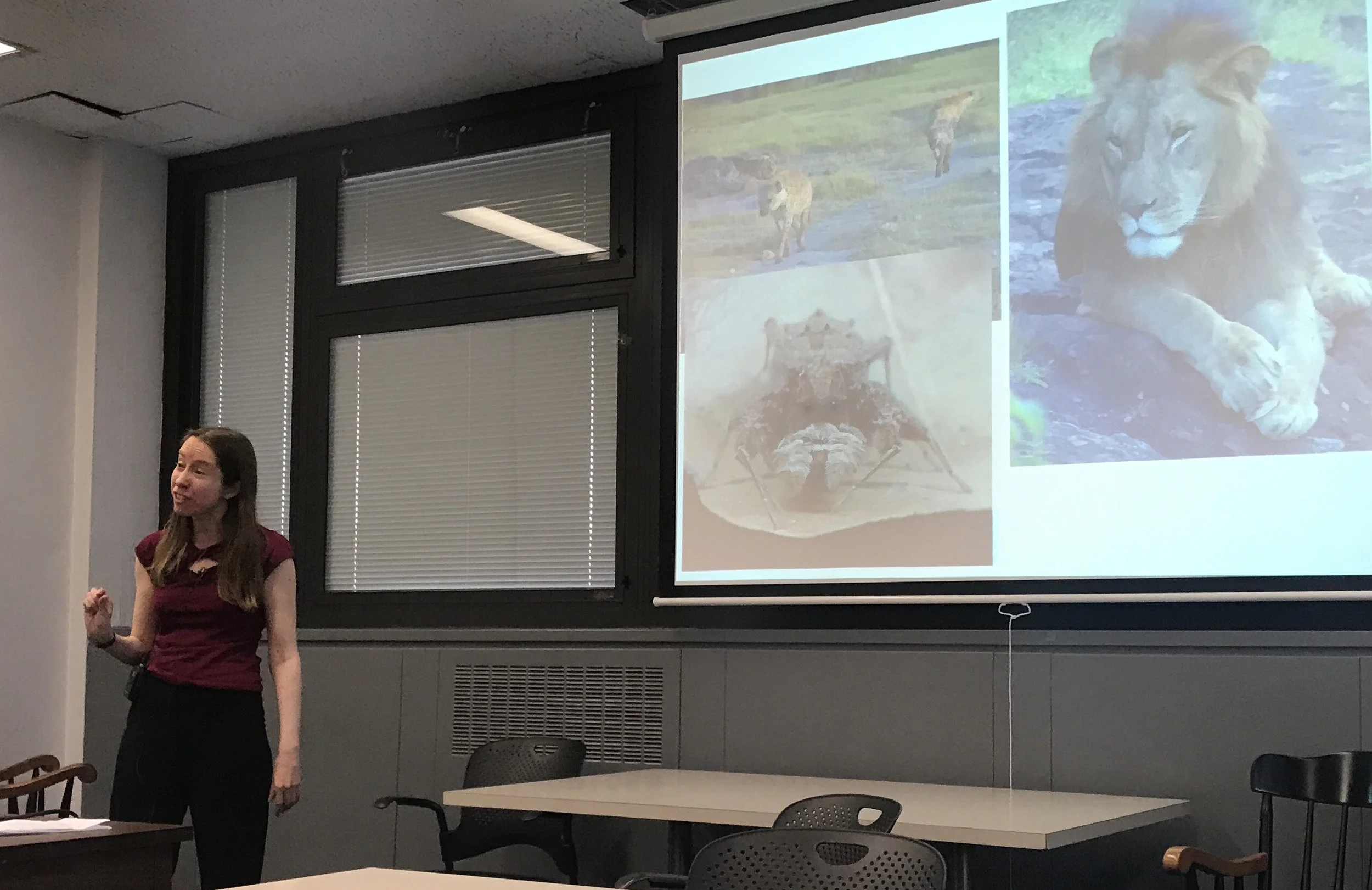 Fiona speaking at Brooklyn College (photo: Mark Moffett)