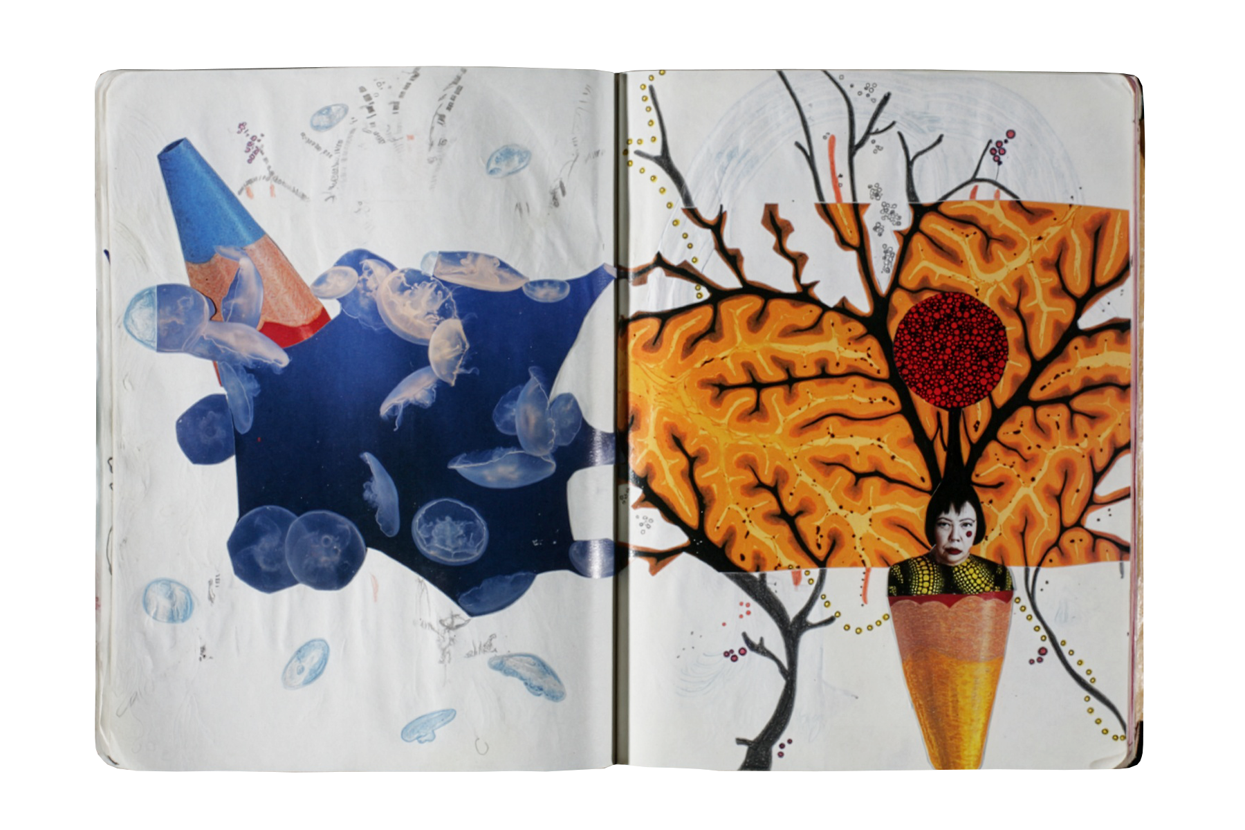 _lvg_moleskin_IMG_9999_28.png